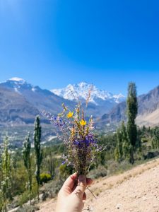 hunza